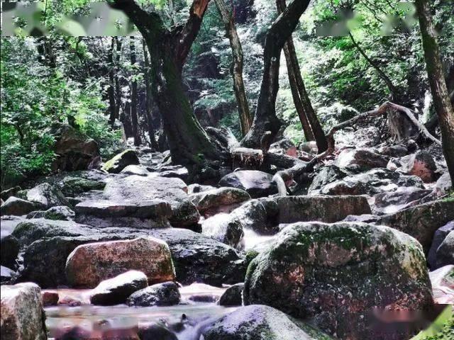 奥特曼救公主2